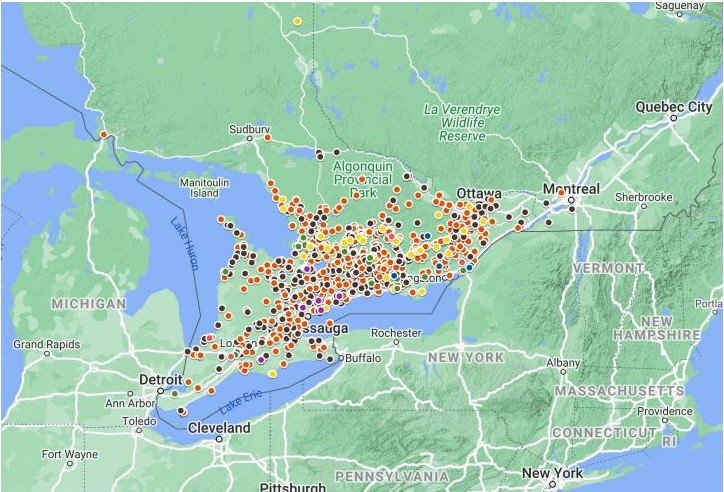 Une carte de l’Ontario, au sud du parc provincial Algonquin, indique le nombre de tortues admises au Centre de conservation des tortues de l’Ontario. Les différentes espèces de tortues sont représentées par des points codés par couleur, qui sont les plus concentrés dans la région du Grand Toronto.