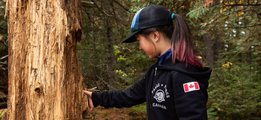 Girl in a Parks Canada hoodie touching a tree. 