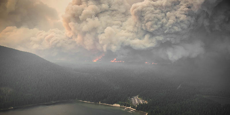 vue aérienne d’une forêt en bord de lac en train de brûler