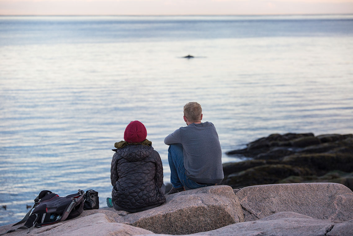 Two people sit on a rocky shore that overlooks silver blue water and a small whale that swims in the distance.