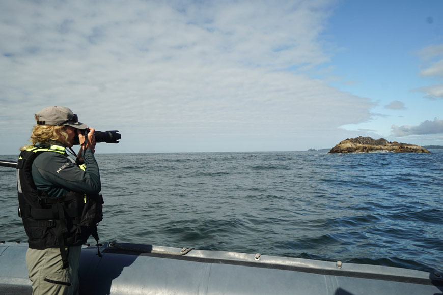 Un membre du personnel de Parcs Canada à bord d’un bateau utilise un téléobjectif pour photographier des phoques au loin.