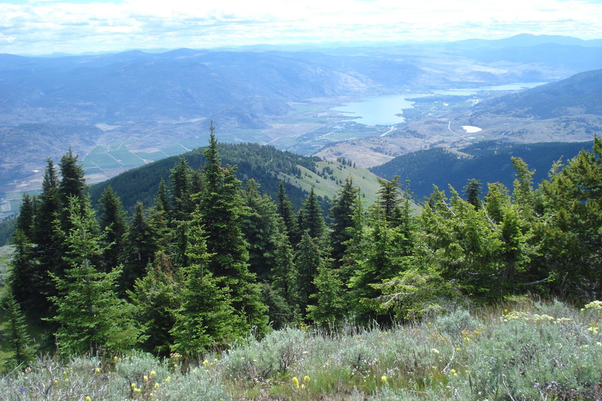 View of the Okanagan valley from the Mt. Kobau trail