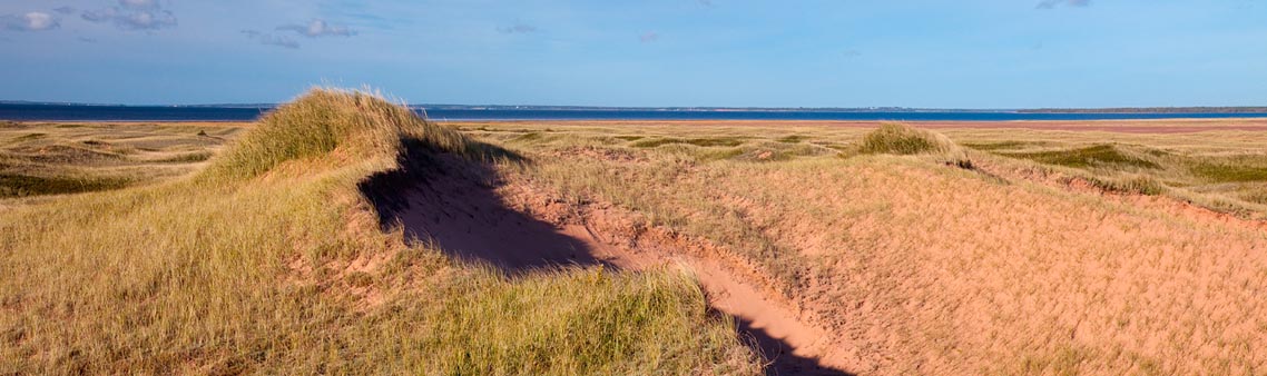 Vue des dunes herbeuses qui forment un pic sur le côté gauche de l’image. L’eau bleue se voit à l’horizon.