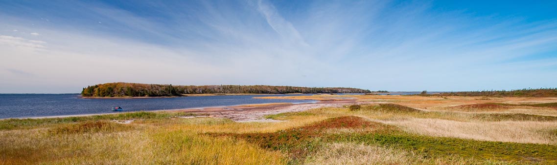 Les dunes herbeuses comprennent du feuillage de couleur vert, jaune, rouge et beige. Un plan d’eau et la rive se trouvent dans la partie supérieure gauche de l’image.    