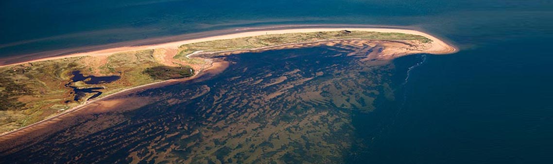 An aeriel view of the dunes in Pituamkek. 