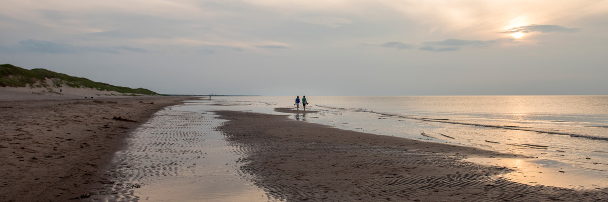 Le soir se couche sur une plage de sable. Le ciel est gris et des gens marchent le long du rivage au loin.