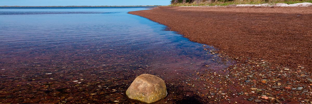 A lone stone sits along the shoreline of Hog Island in Pituamkek. Calm waters along the left side of the image with sandy beach and forests to the right.