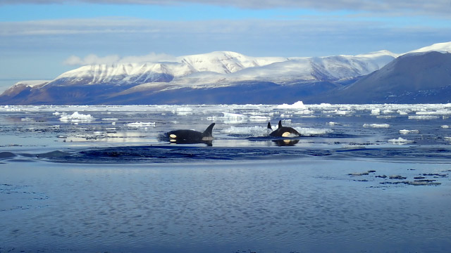 find-a-national-marine-conservation-area