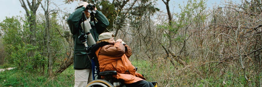 Two visitors, one of whom is in a wheelchair, do birdwatching at Point Pelee National Park.