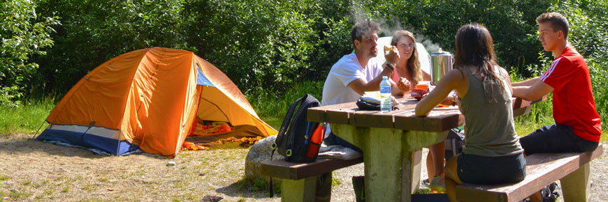 Visiteurs discutant sur leur site au terrain de camping Illecillewaet.