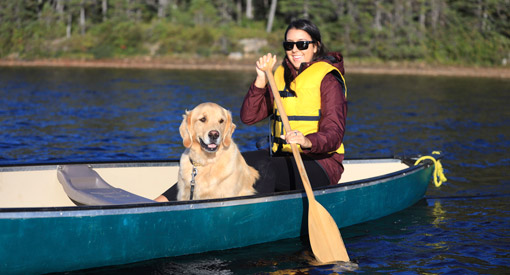 A dog is in a canoe with a woman.