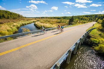 A group of adults cycling through the Spruce River Valley along the scenic route - Highway 263.
