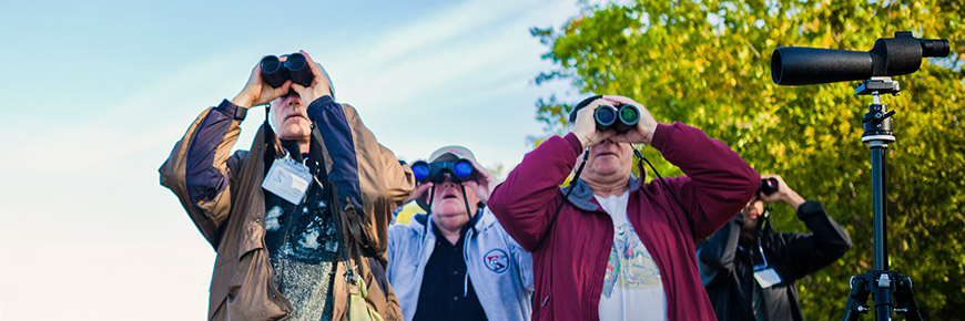 visitors bird watching through binoculars
