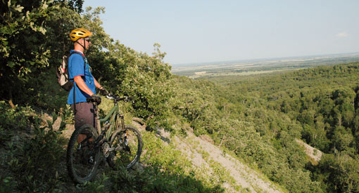 A man takes a break from biking to admire the greenery from high up on the East Escarpment Trail. 