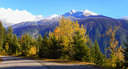 A scenic view of the Meadows in the Sky Parkway road on an autumn day.