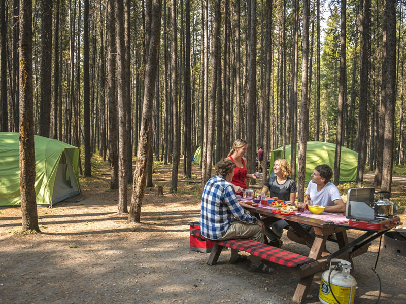 Deux couples profitent d'un repas assis à une table de pique-nique à l'un des emplacements de camping équipé.