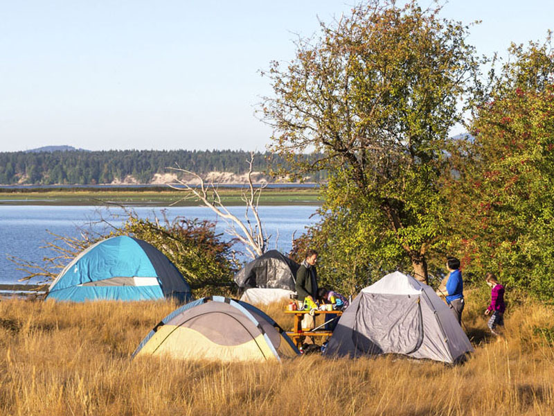 Des tentes montées sur un pré verdoyant du terrain de camping de l'Île Sidney.
