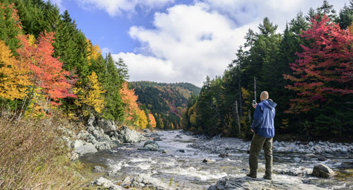 Un visiteur prend une photo des couleurs d’automne à la rivière Upper Salmon.