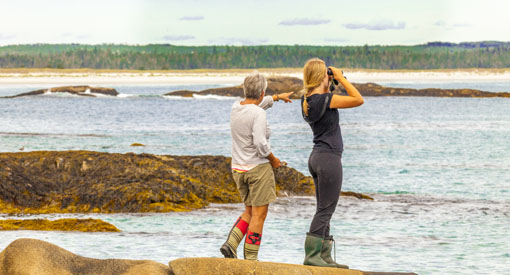 Two women on a rocky shore watch the sea with binoculars.