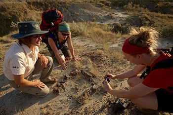 Des visiteurs examinent des fossiles lors de l’activité la fièvre des fossiles.