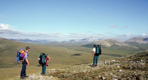 Des visiteurs font de la randonnée pédestre près de Black Fox Creek Valley dans un vaste paysage arctique constitué de crêtes rocheuses et de vallées occupées par la toundra.