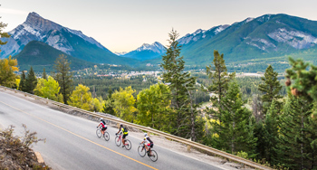 Three road bikers cycle up the Norquay road