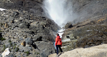 Un visiteur admire les chutes Takakkaw