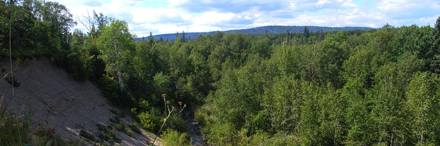 Sentier forestier avec vue panoramique.