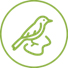 Logo d'un oiseau