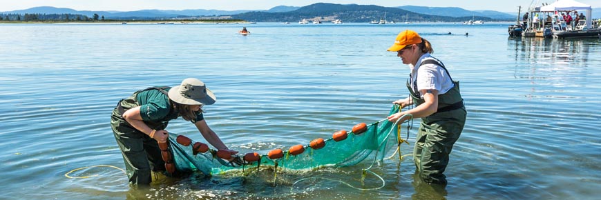 A couple of BioBlitz specialists cast a net to see what creatures can be brought up from beneath the water's surface during the summer 2016 BioBlitz event held on Sidney Island. Gulf Islands National Park Reserve.