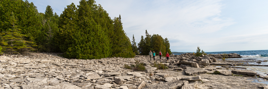 Four people walk along a rocky shoreline