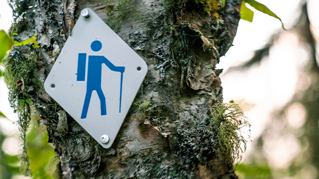 A hiking trail marker on a tree.