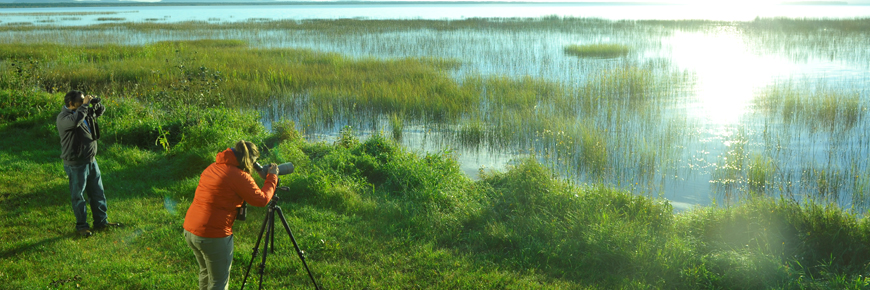 hurkett-cove-lake-superior-national-marine-conservation-area