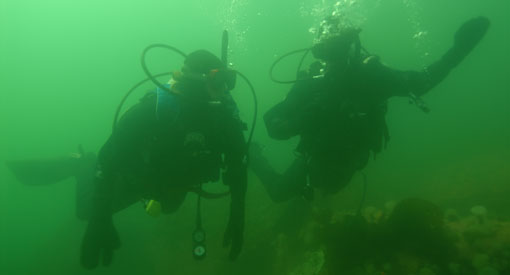 Deux plongeurs vus sous la surface de l'eau. 