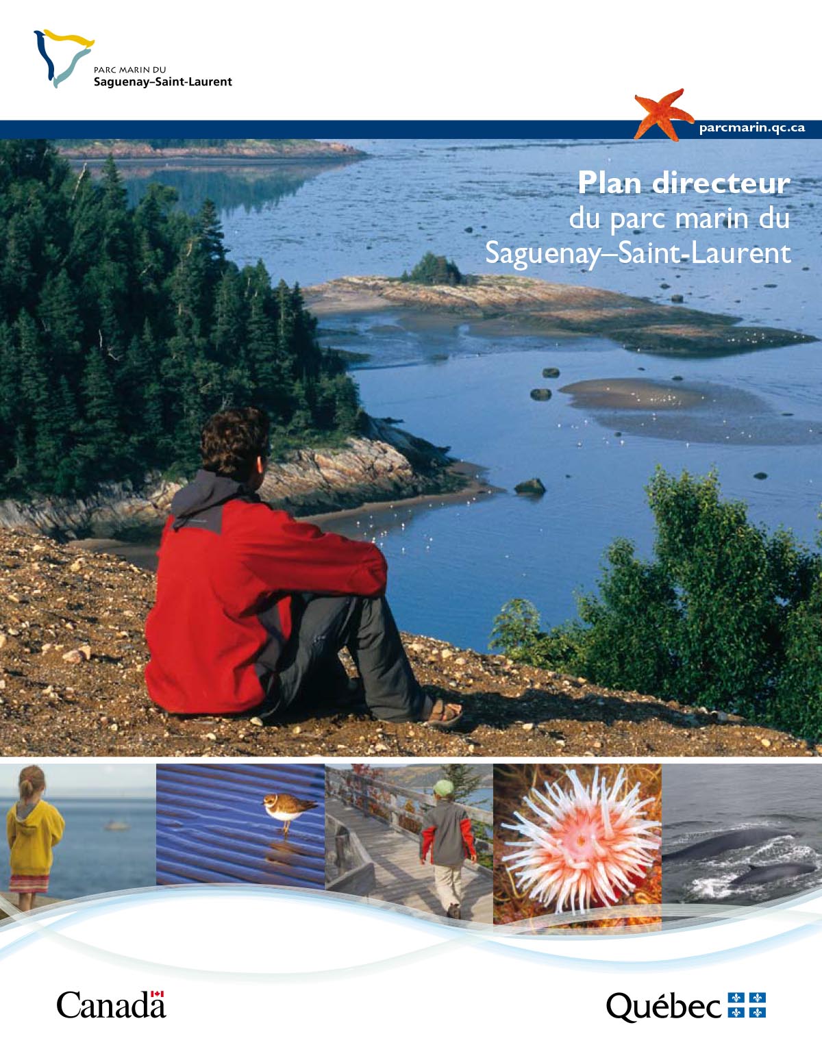 
Une personne assise sur un rivage surplombant le parc marin du Saguenay - Saint-Laurent.
