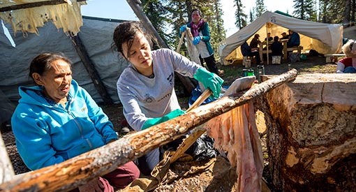 Youth learn to fish and prepare fish caught in Great Bear Lake (“Sahtú” in the Sahtu Got'ine language