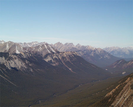 Photograph showing a uniform forest composed of mature trees in the Spray Valley in Banff National Park