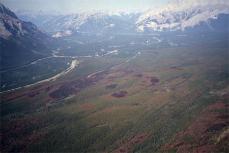 Fire creates a mosaic of burned and unburned patches in the forests of the Bow Valley, Banff National Park.
