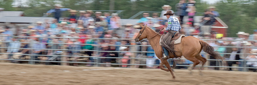 Un homme à cheval participe à un rodéo pour les spectateurs.