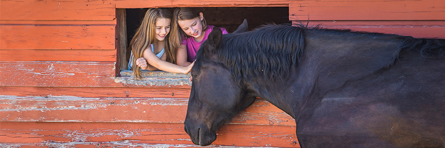 Two girls pet a brown horse through a barn window