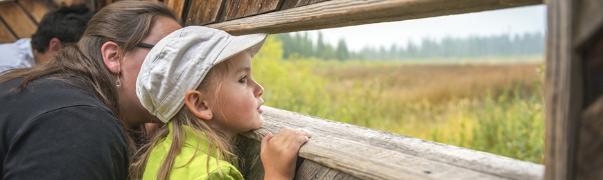 young girl looks out across marsh on the Cave and Basin boardwalks