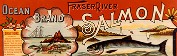 Vintage salmon can label