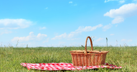 a picnic basket on green grass