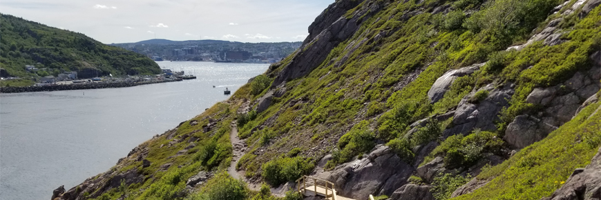 a coastal trail with a city in the background
