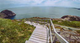 a wooden staircase leading to a coastal trail
