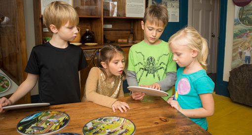  A group of young visitors interact with hand-held pieces of an exhibit.