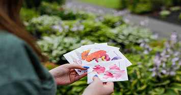 A pair of hands holds five envelopes with flower paintings and scientific names