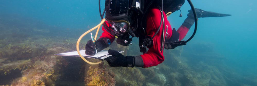 A scuba diver exploring a shipwreck.