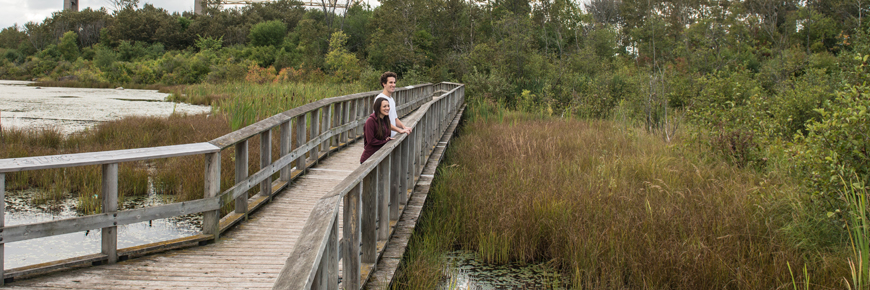 Two people on a boardwalk, looking at a marsh.