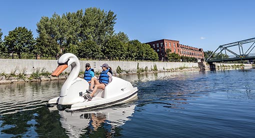 Swan pedal boat on the Lachine Canal